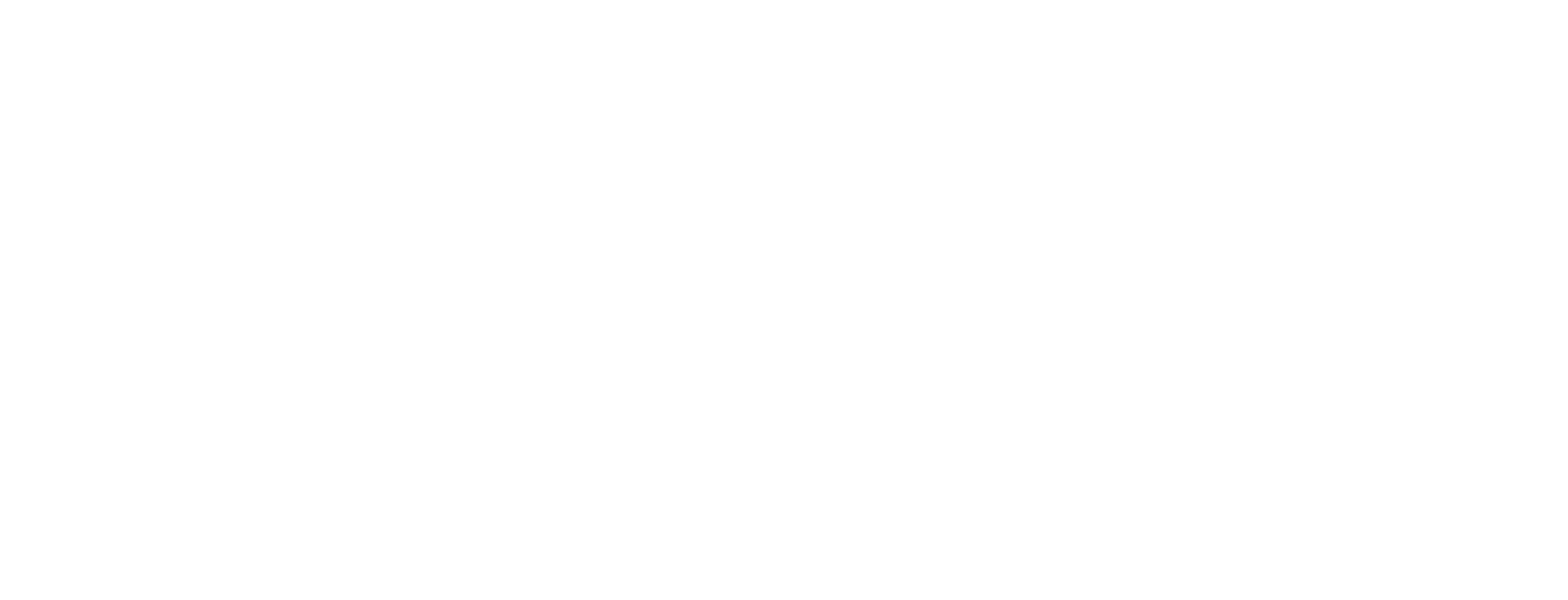 ACE LOGO final-02 (1)