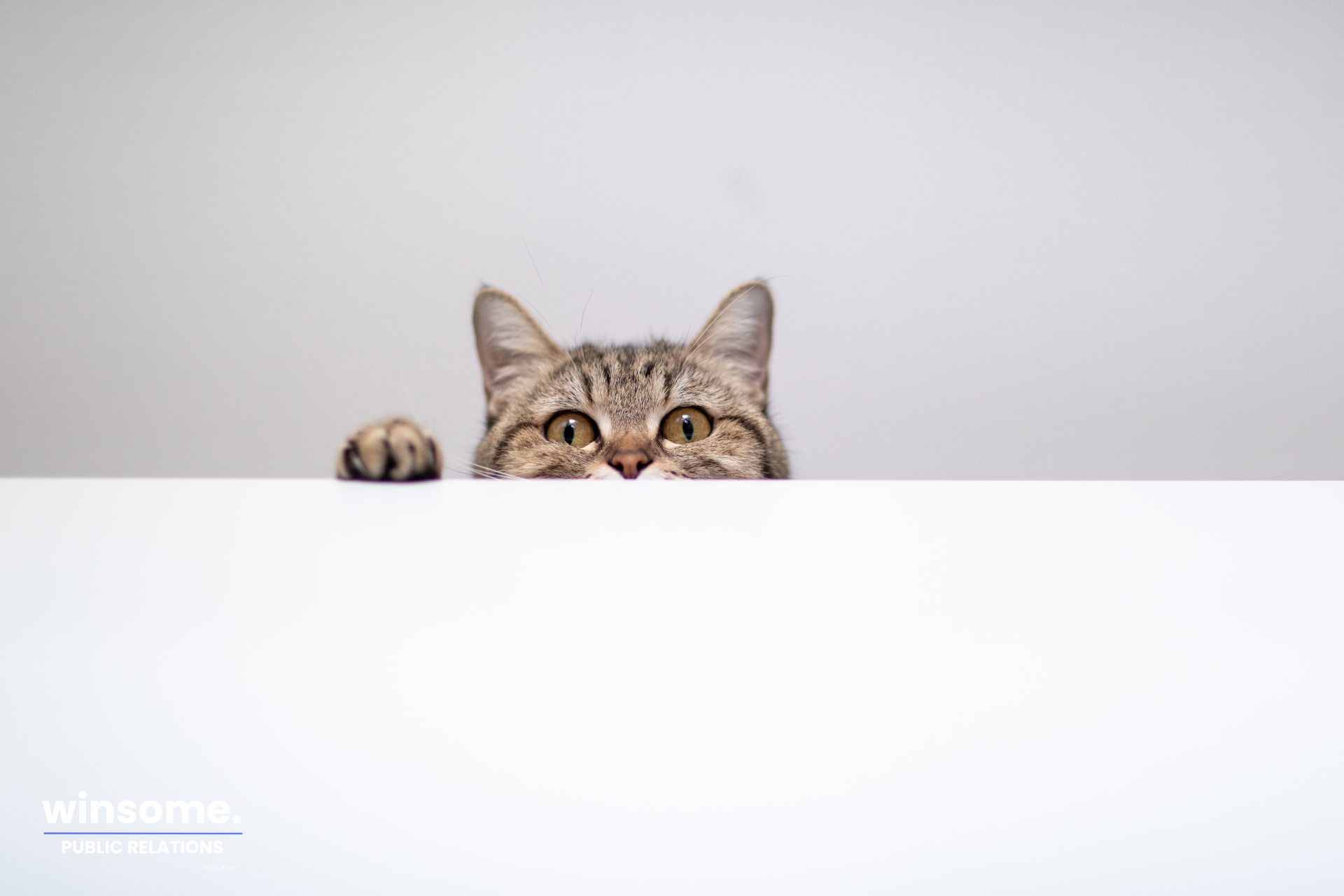 Stop drowning in research. Learn how AI deep research tools help communicators uncover insights and make better business decisions.