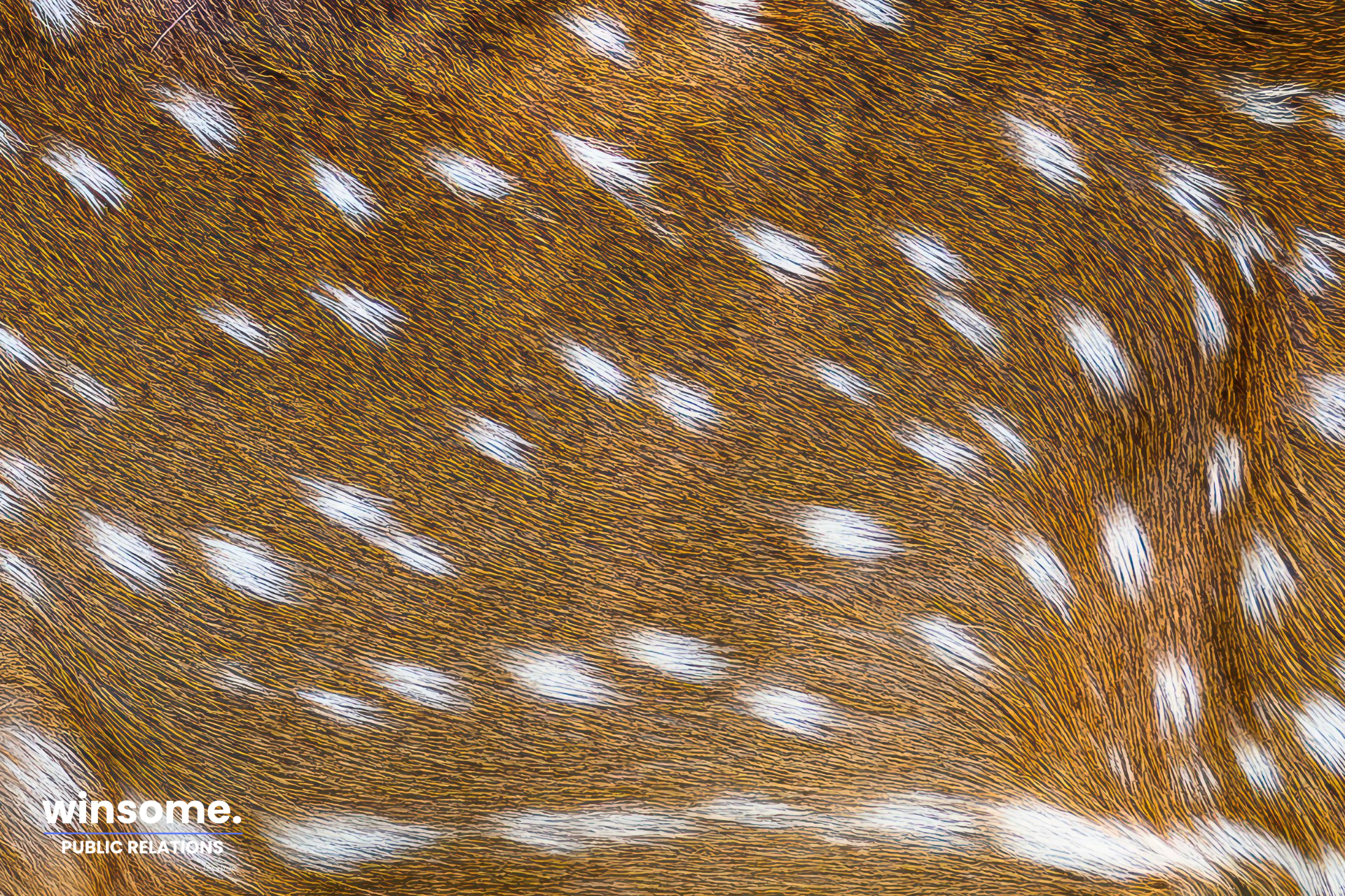 Your dusty archives are your content goldmine—here's how to mine it