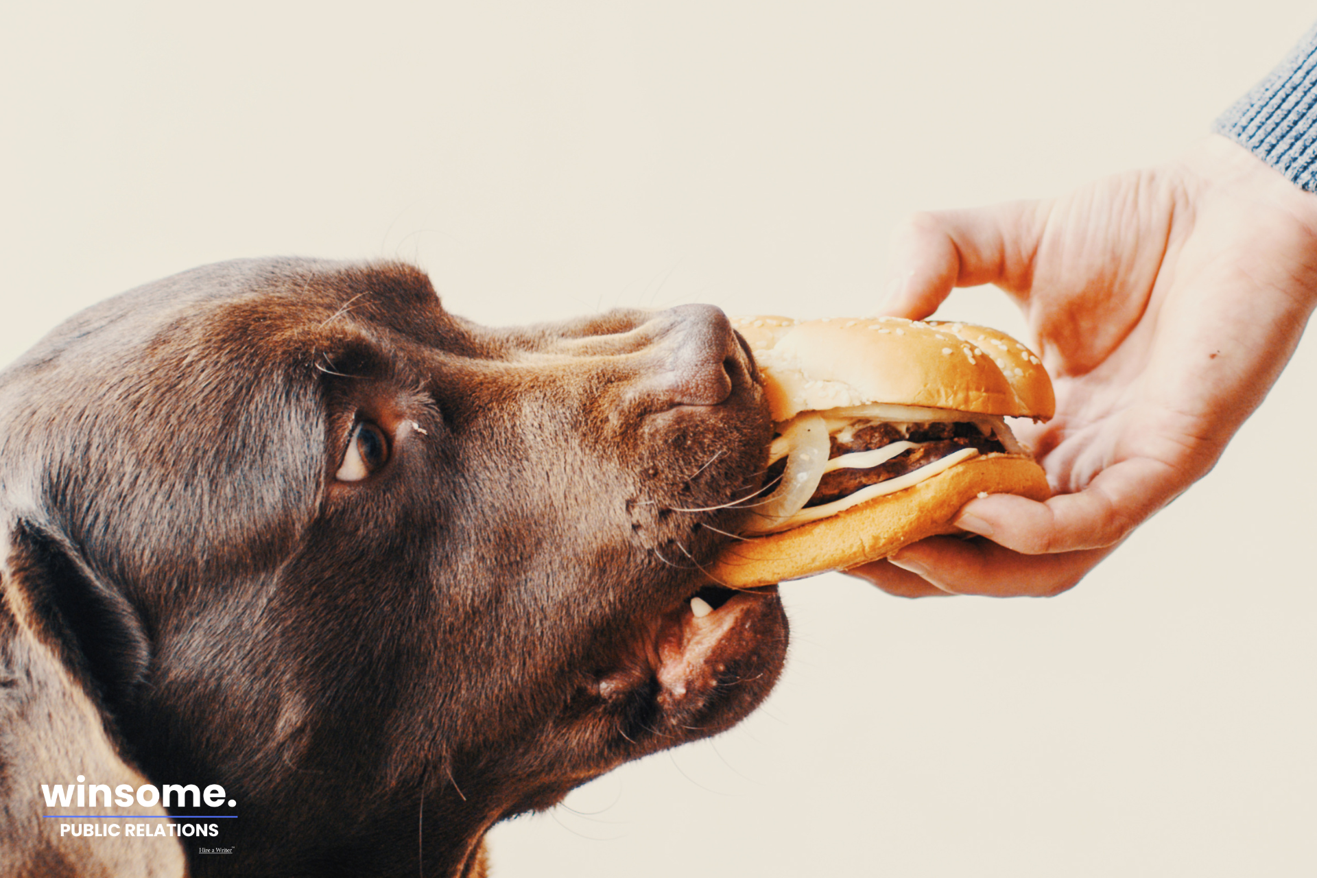 When to Put Your CEO Front and Center (And When to Keep Them Hidden)