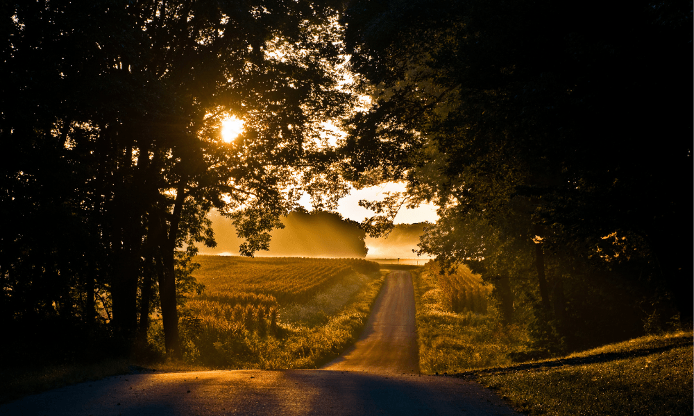 Thinking Beyond Your “Why”